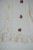 DSC08103.JPG